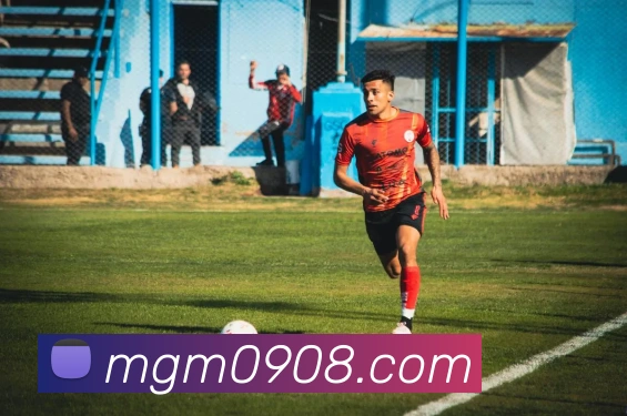 美高梅官网平台生态图