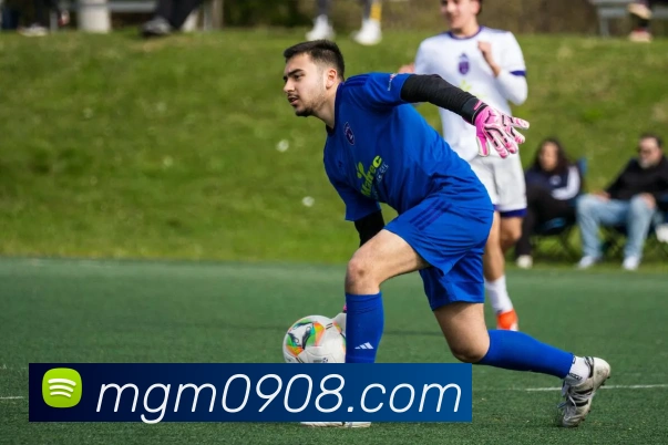 美高梅官网APP 封面图